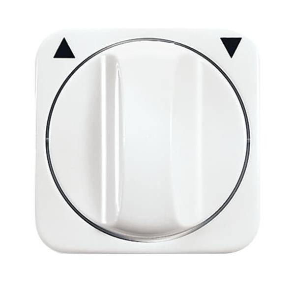 Busch-Jaeger Zentralscheibe aws 2542 DR-214