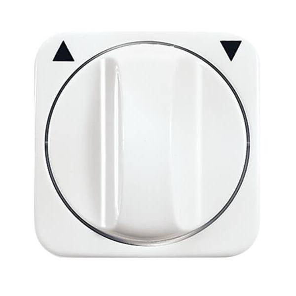 Busch-Jaeger Zentralscheibe aws 2542 DR-214