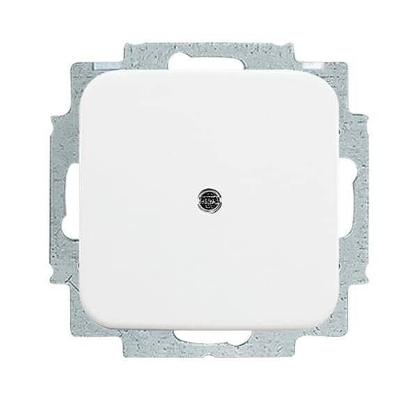 Busch-Jaeger Blindzentralscheibe aws 2538-214