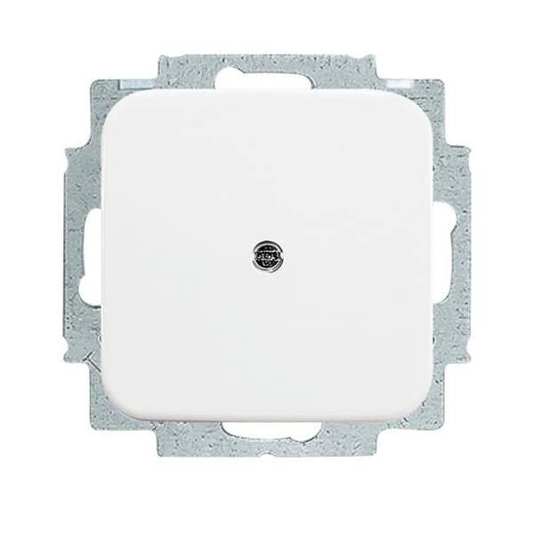 Busch-Jaeger Blindzentralscheibe aws 2538-214