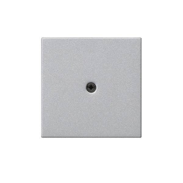 Gira Zentralpl.Schnurabl. alu 027426