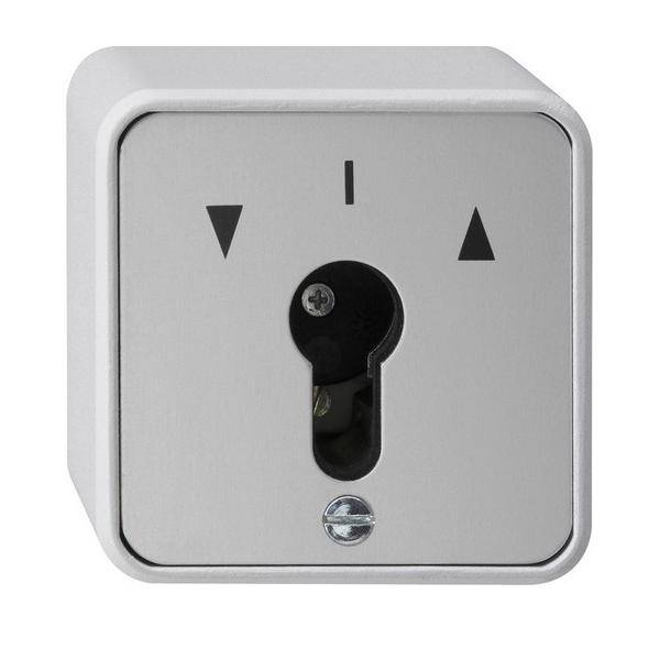 Gira Schlüsseltaster 016330