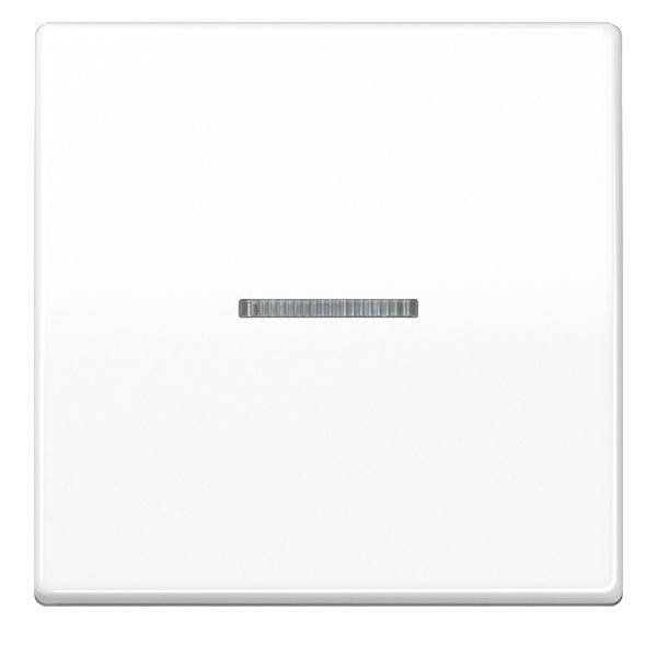 Jung Wippe Lichtleiter aws AS 591 KO5BF WW