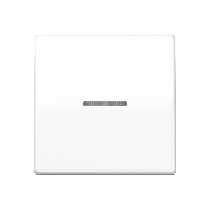 Jung Wippe Lichtleiter aws AS 591 KO5BF WW