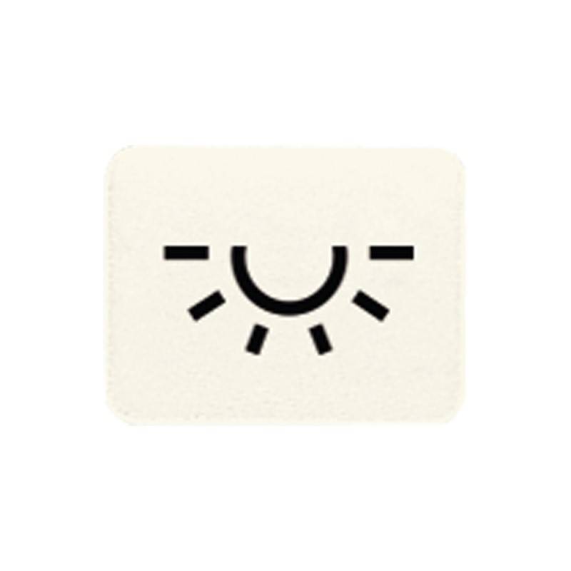 Jung Symbol ws 33 L