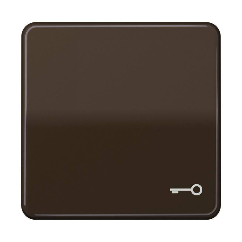 Jung Wippe Symbol TÜR br CD 590 T BR