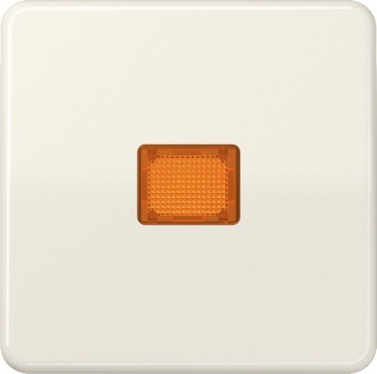 Jung Wippe Lichtfenster ws CD 590 KO