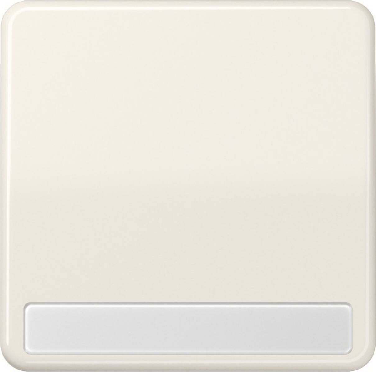 Jung Wippe Schriftfeld ws CD 590 NA