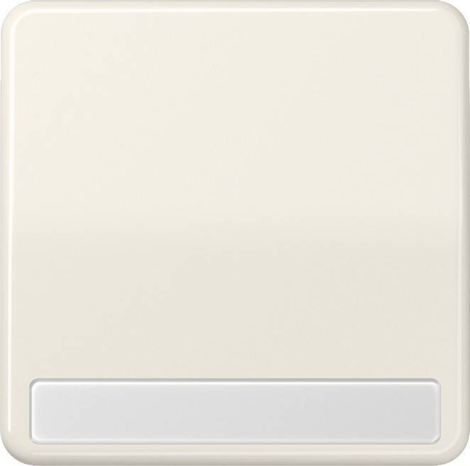 Jung Wippe Schriftfeld ws CD 590 NA