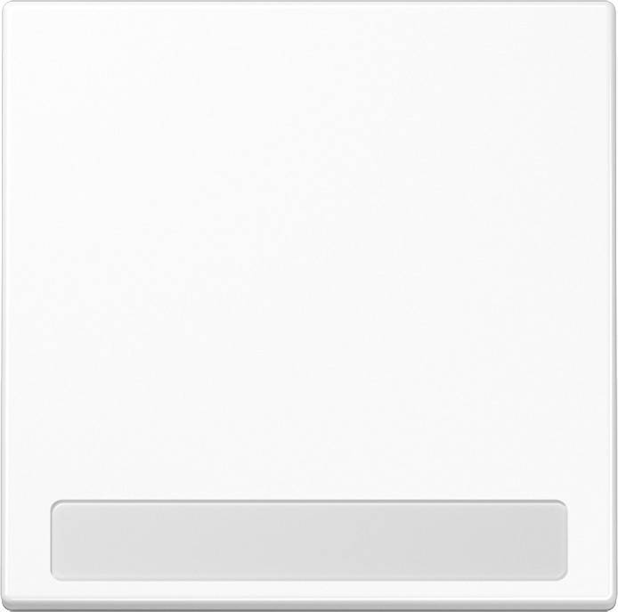 Jung Wippe Schriftfeld aws LS 990 NA WW