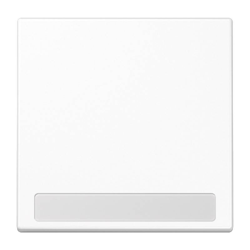Jung Wippe Schriftfeld aws LS 990 NA WW