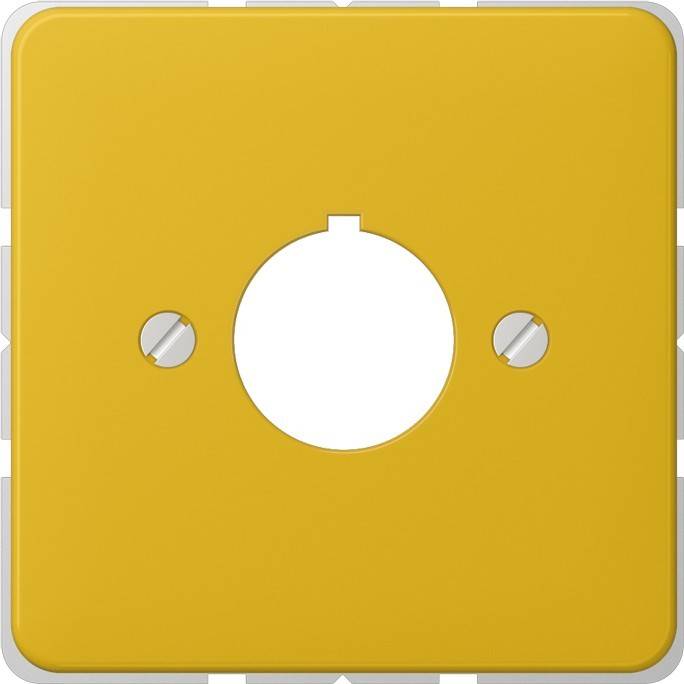 Jung Abdeckung ge 564 GE