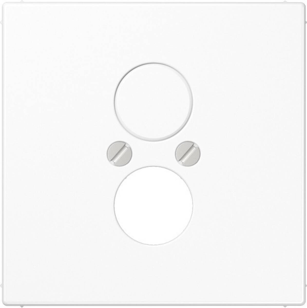 Eine weiße elektrische Wandabdeckung mit zwei kreisrunden Ausschnitten und zwei sichtbaren Schrauben in der Mitte.