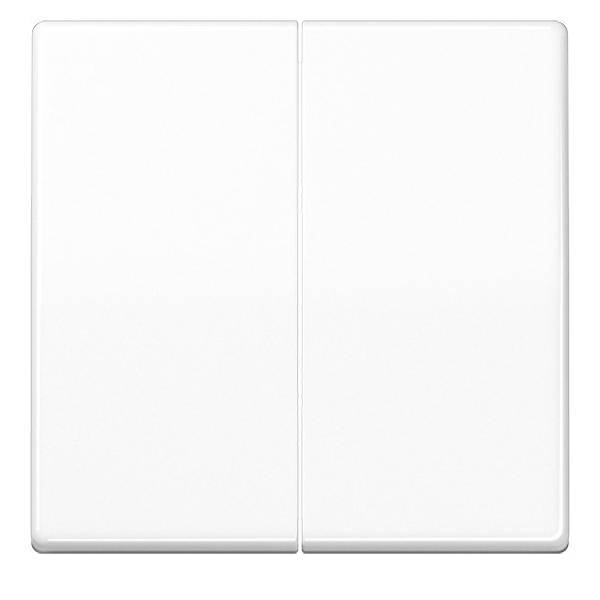 Jung Wippe aws AS 591-5 BF WW