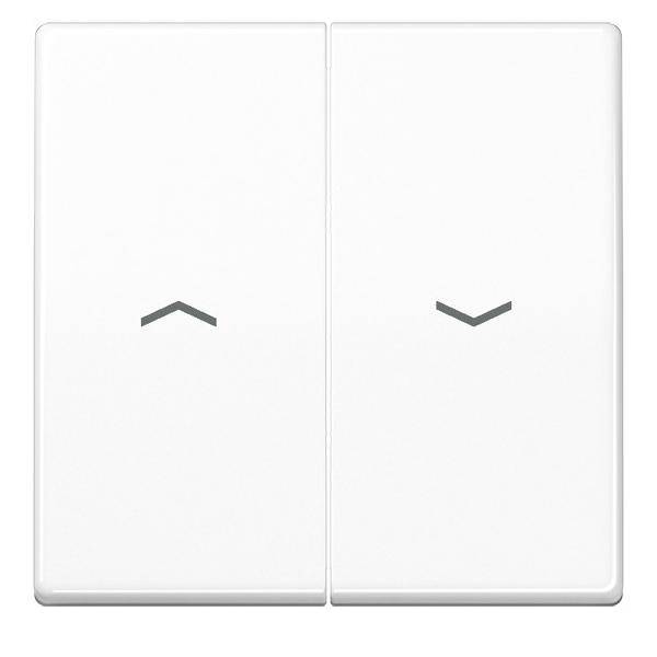 Jung Wippe Symbole aws AS 591-5 PBF WW