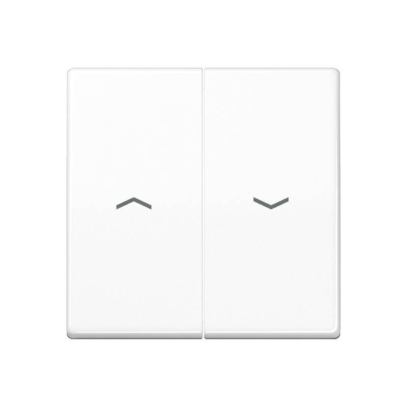 Jung Wippe Symbole aws AS 591-5 PBF WW