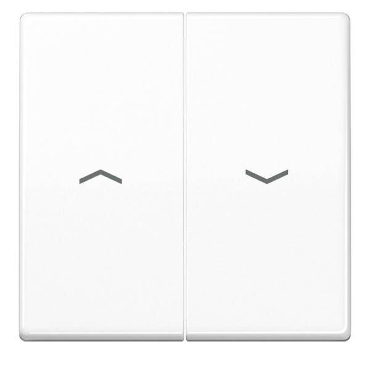 Jung Wippe Symbole aws AS 591-5 PBF WW