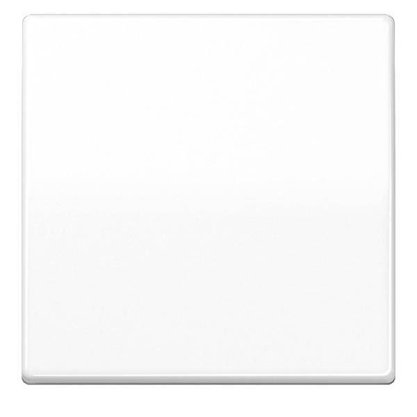 Jung Wippe aws AS 591 BF WW