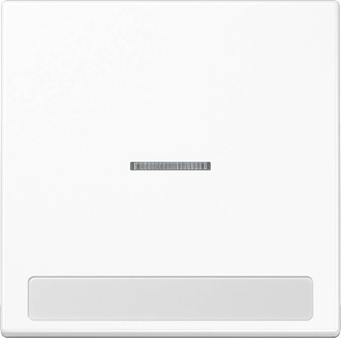 Jung Wippe Licht./Schriftf.aws LS 990 NAKO5 WW