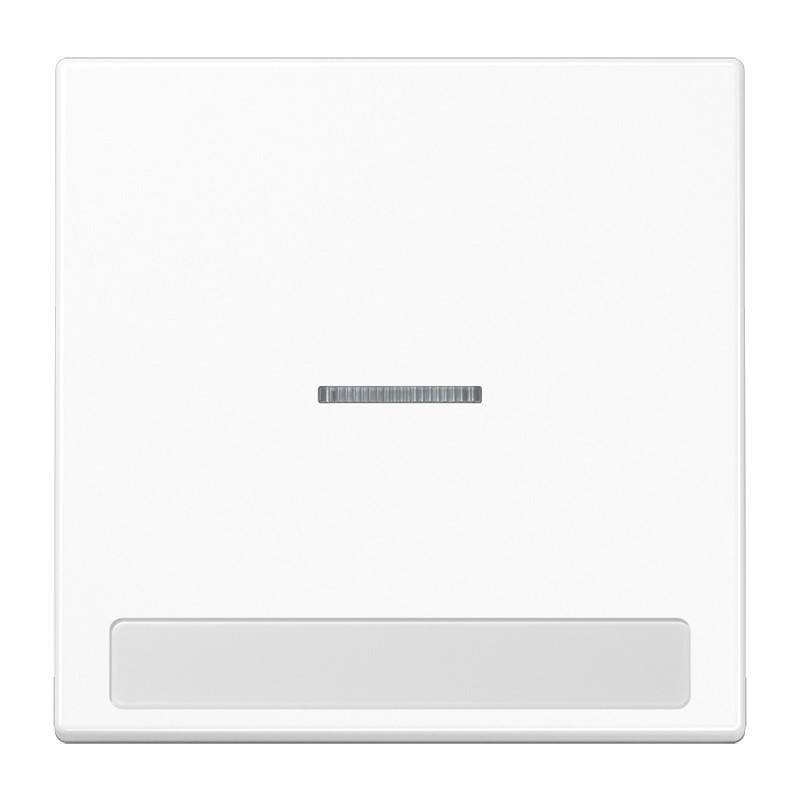 Jung Wippe Licht./Schriftf.aws LS 990 NAKO5 WW