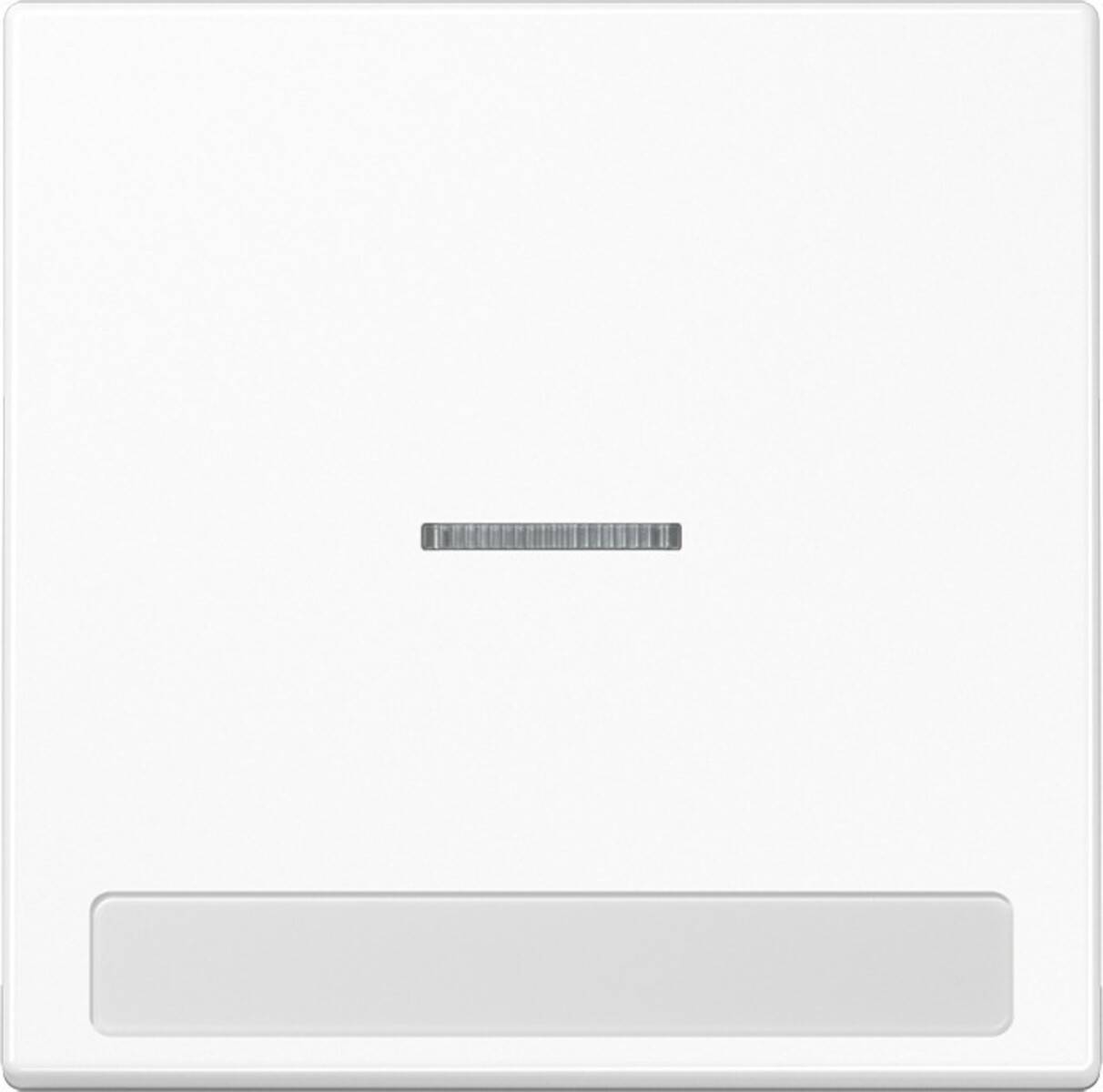 Jung Wippe Licht./Schriftf.aws LS 990 NAKO5 WW