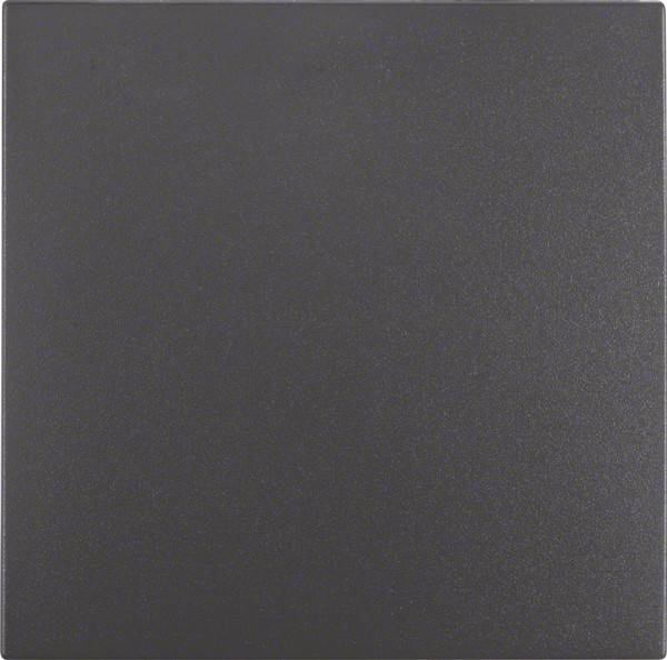 Berker Wippe anth matt 16201606