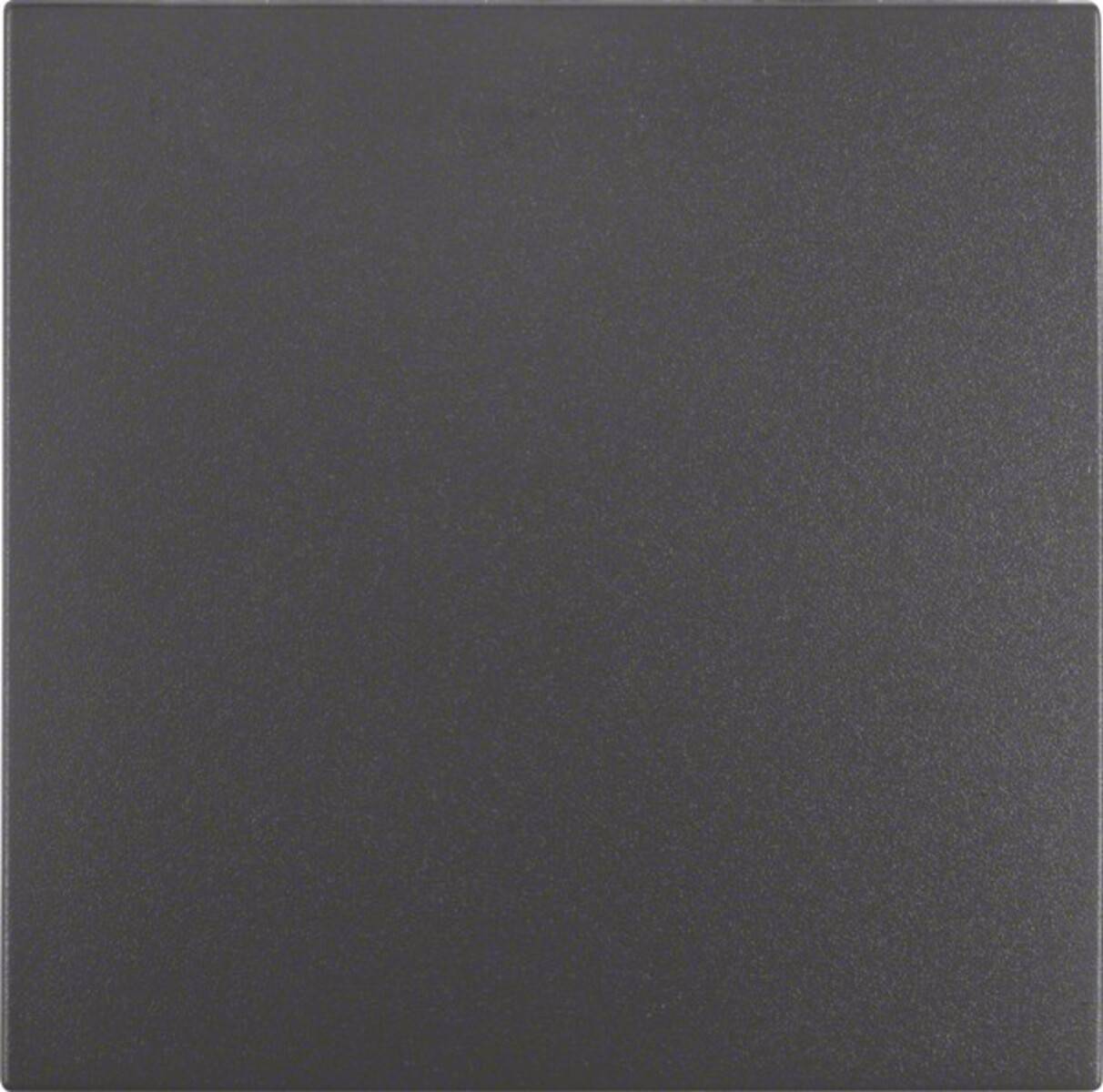 Berker Wippe anth matt 16201606