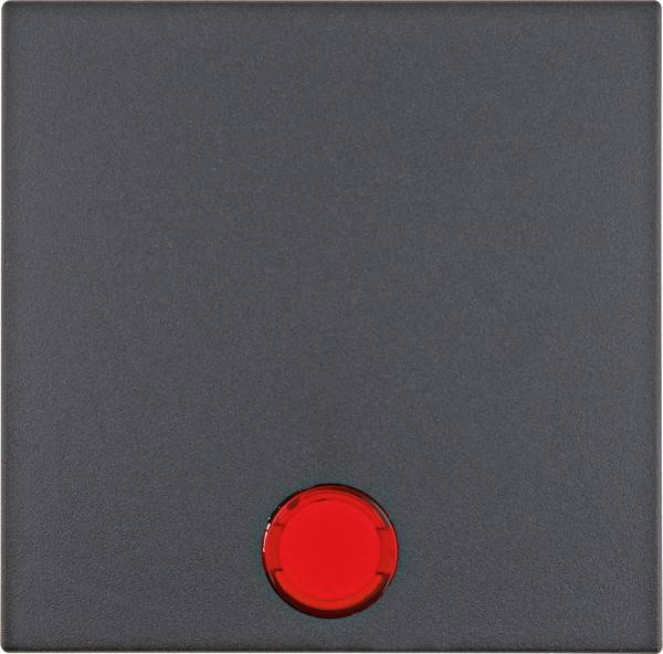 Berker Wippe anth matt 16211606