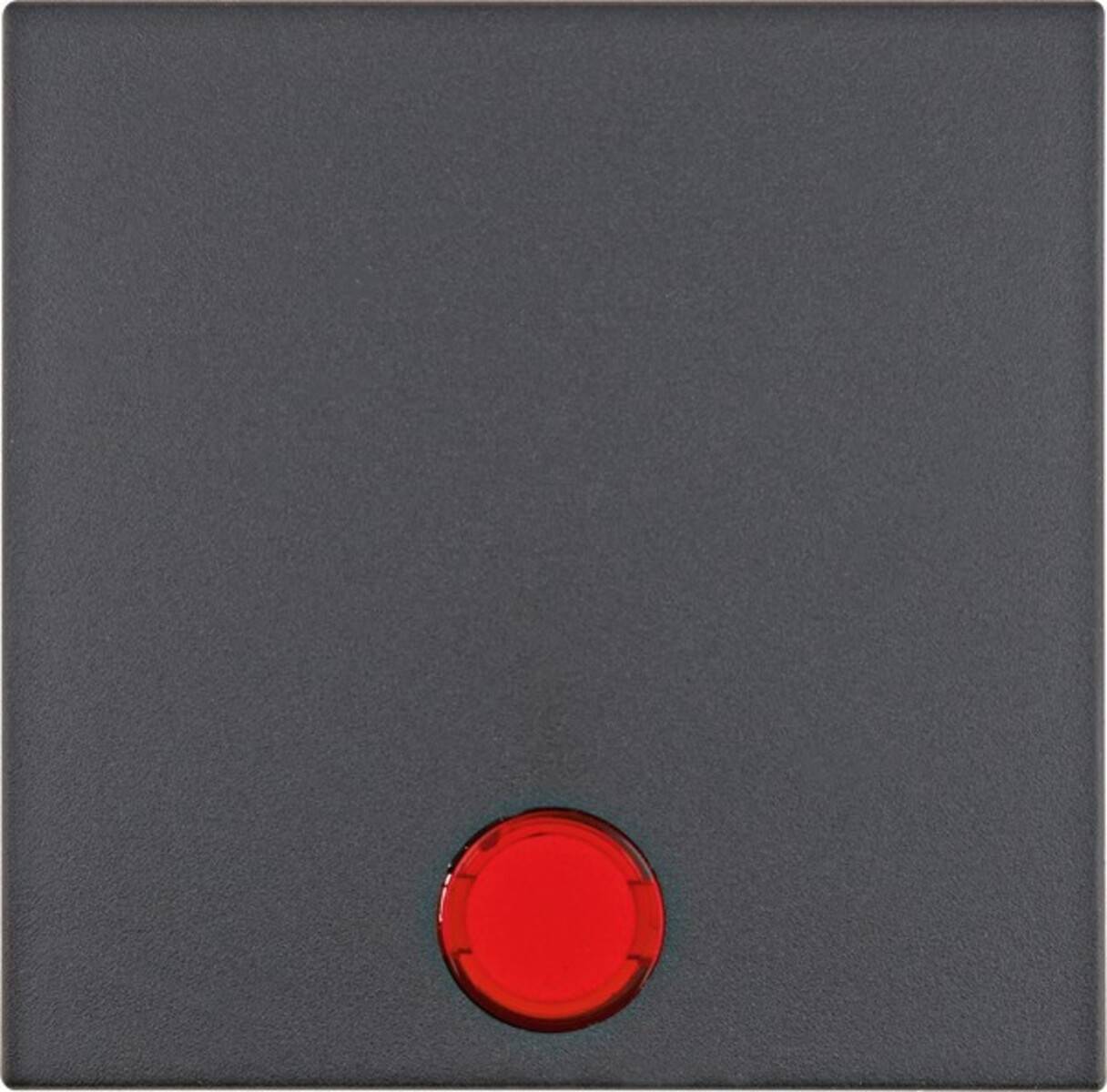 Berker Wippe anth matt 16211606