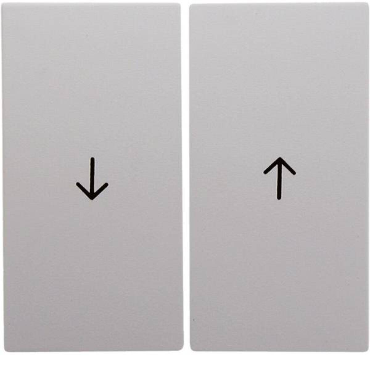 Berker Wippe pws 16251909