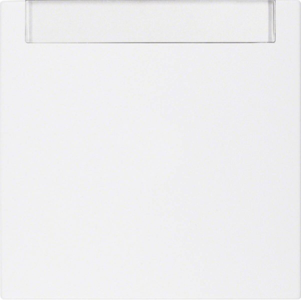 Berker Wippe pws 16261909