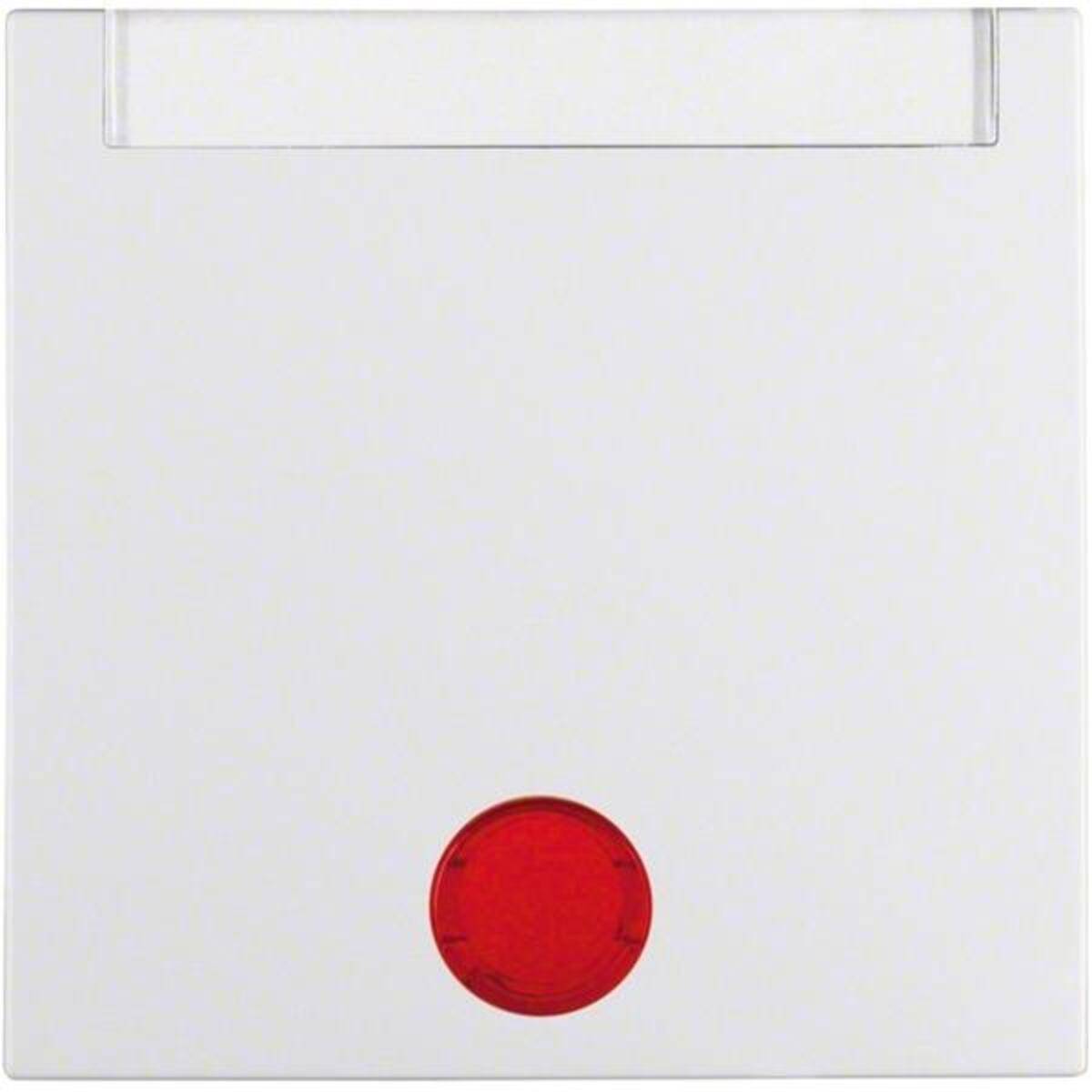 Berker Wippe pws 16281909