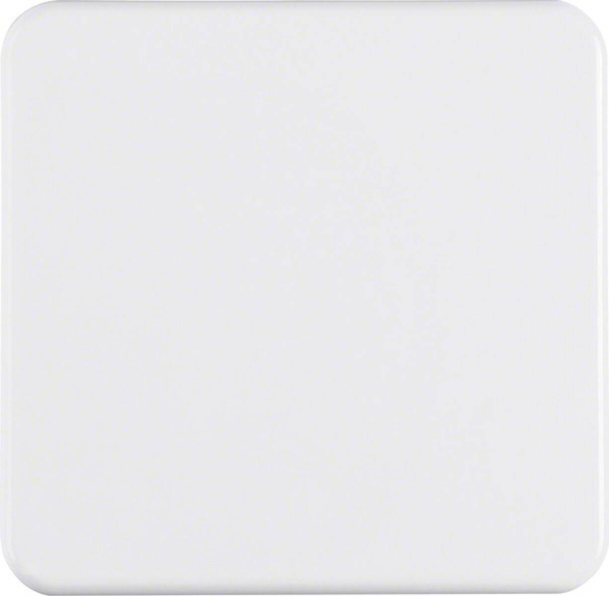 Berker Wippe pws/gl 155009