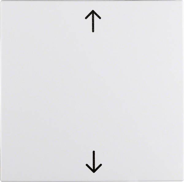 Berker Wippe pws 16201919