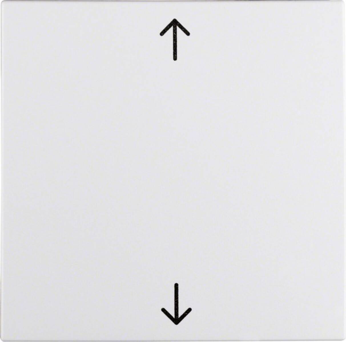 Berker Wippe pws 16201919