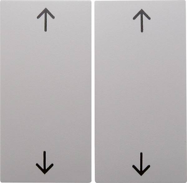 Berker Wippe pws 16441909