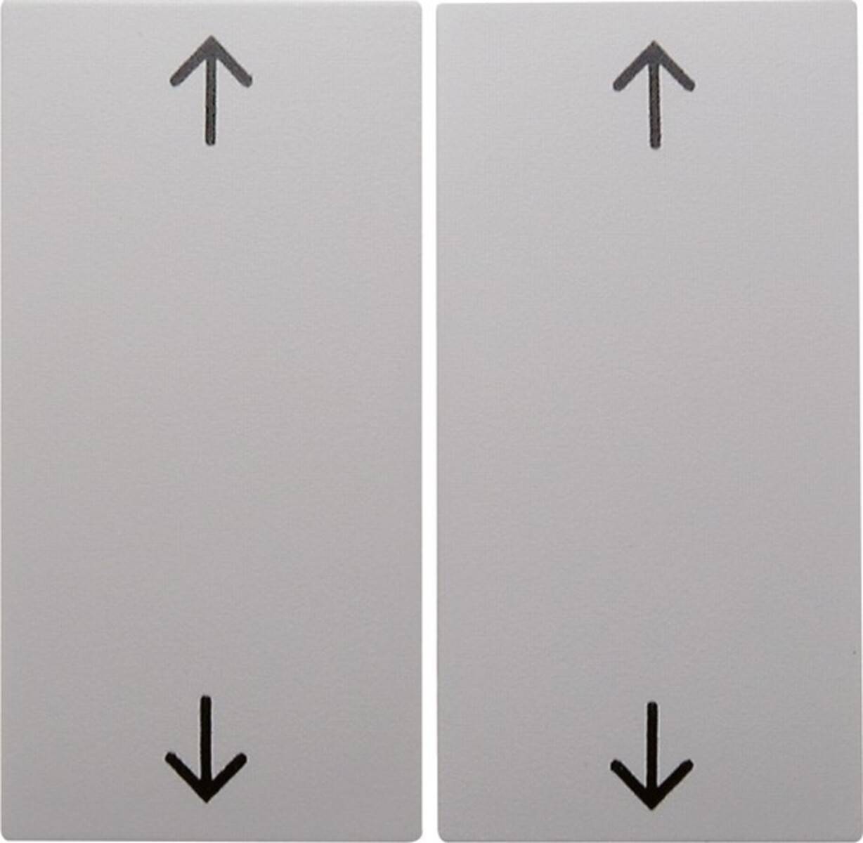 Berker Wippe pws 16441909