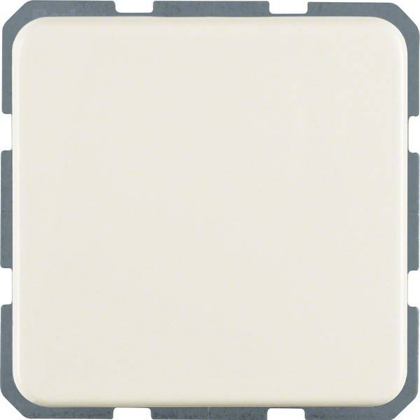 Berker Steckdose ws 4715