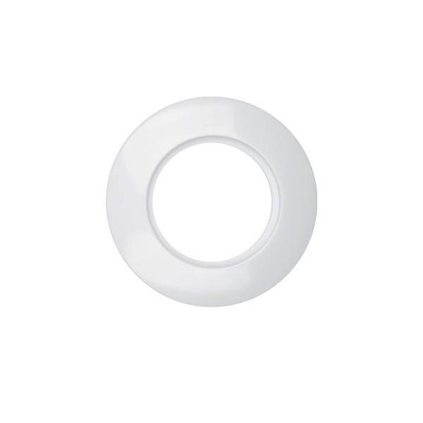 Berker Ringplatte 1f.pws 138109