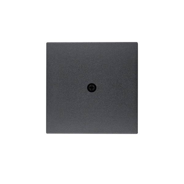 Berker Zentralstück anth 10191606