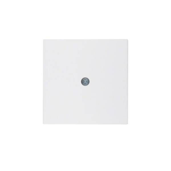 Berker Zentralstück pws 10191909