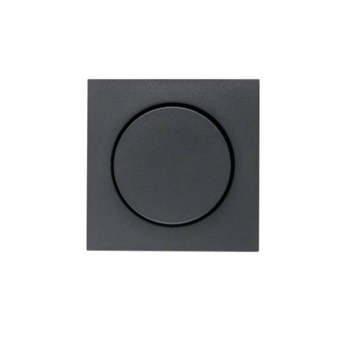 Berker Zentralstück anth 11371606