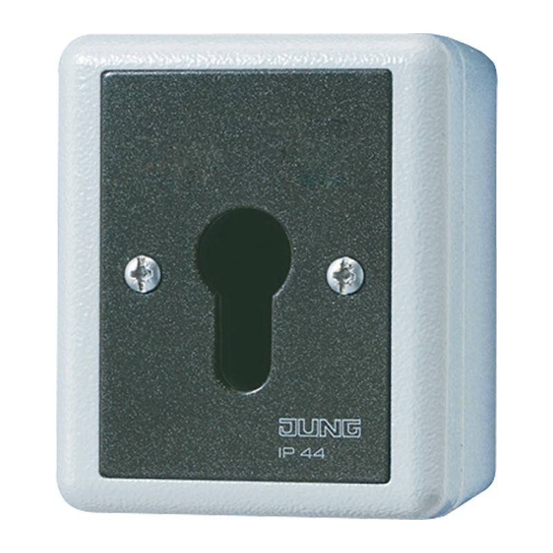 Jung Schlüsselschalter 806.28 G