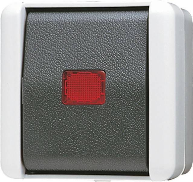 Ein grauer Wippschalter mit einer roten Kontrollleuchte, eingerahmt von einem weißen Gehäuse, wahrscheinlich zur Steuerung elektrischer Geräte verwendet.