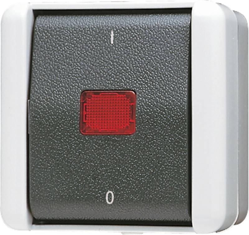 Jung Wipp-Kontrollschalter 803 KOW