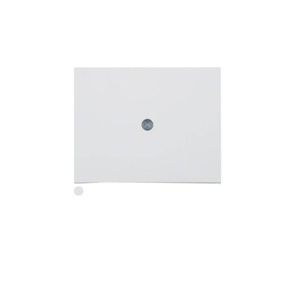 Berker Zentralstück pws 10057009