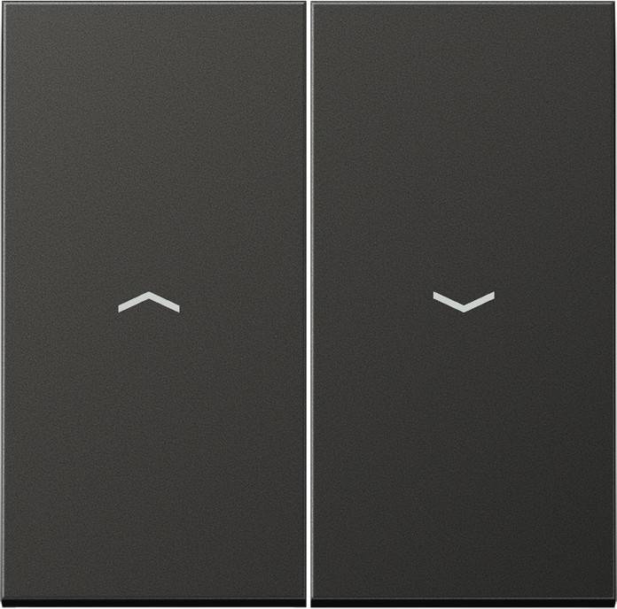 Jung Wippe Symbole anth AL 2995 P AN