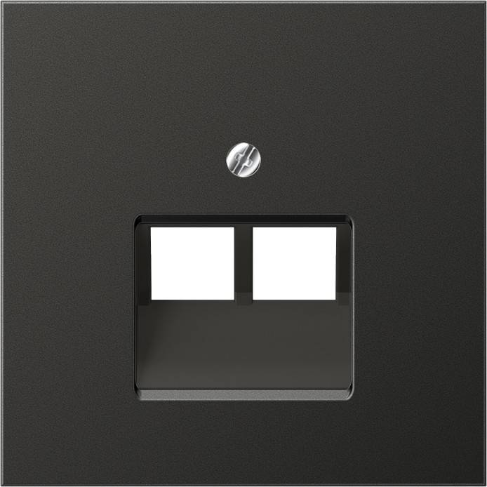 Jung Abdeckung anth AL 2969-2 UA AN