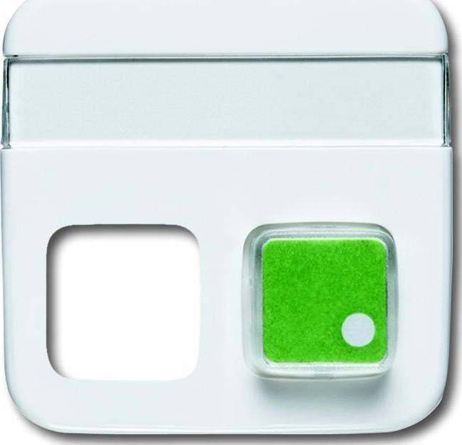 Busch-Jaeger Zentralscheibe aws 1572 CN-214