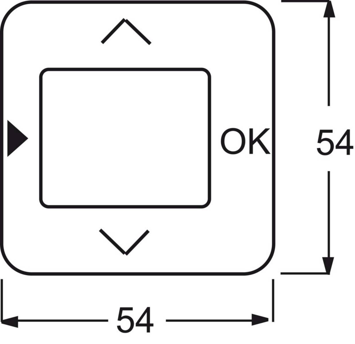 Busch-Jaeger Zentralscheibe alpinws 6435-214
